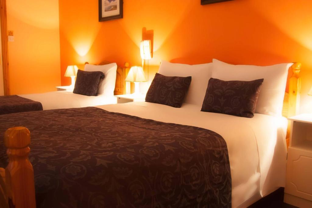 Guest house Mccarthy'S Lodge B&B *