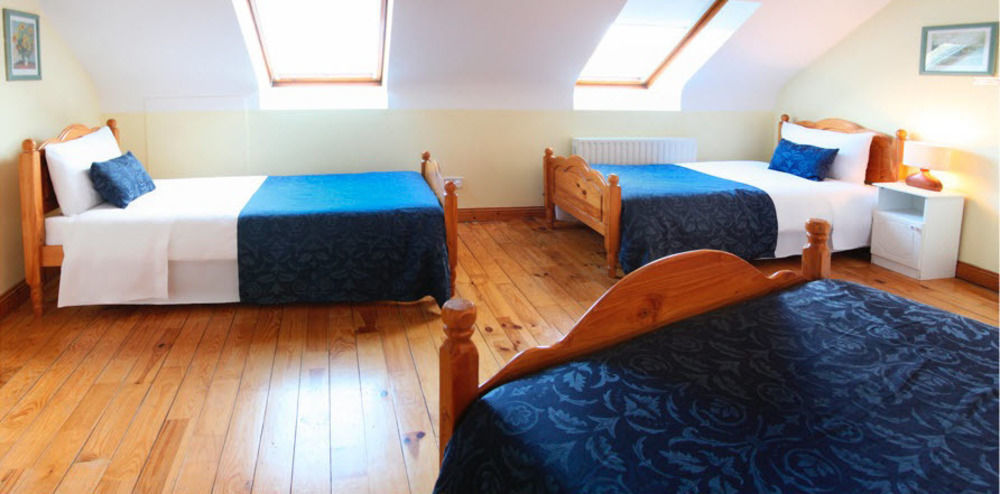 Mccarthy'S Lodge B&B Guest house *