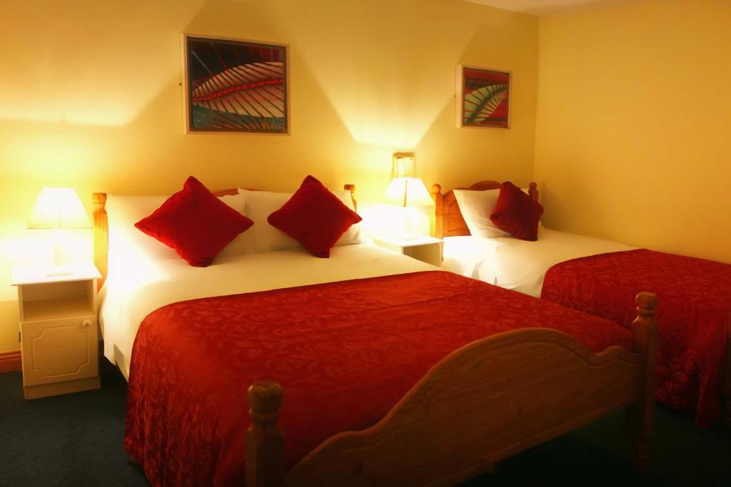 Guest house Mccarthy'S Lodge B&B